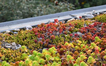 the cost of Wooden green roof installation