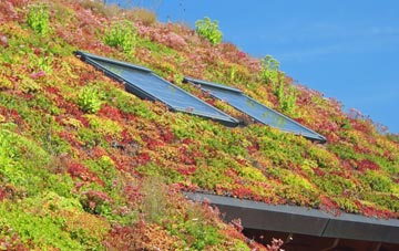 Wooden living roof systems