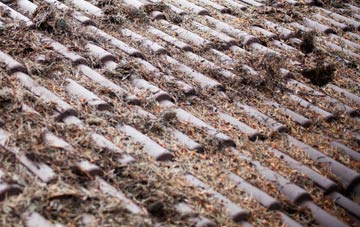 Wooden roof cleaning companies